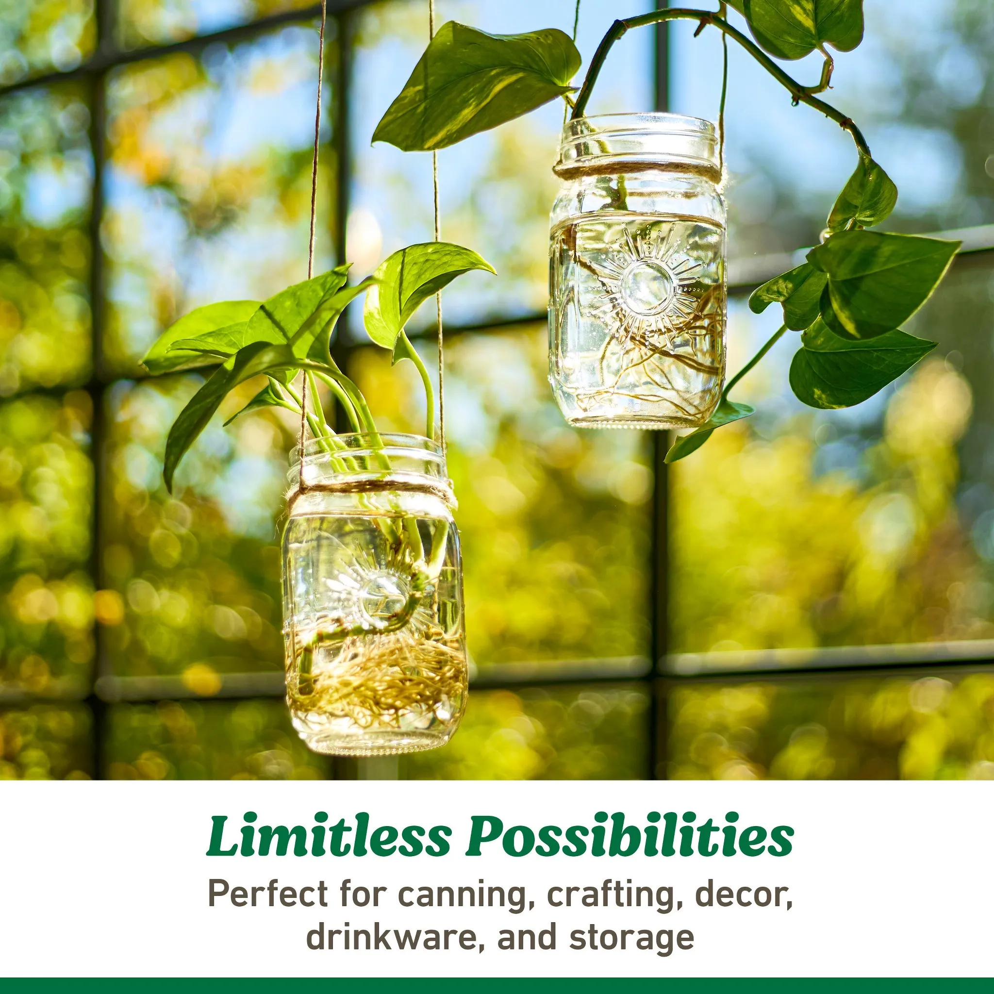 16oz 4pk Glass Regular Mouth Mason Jar with Band and Lid Sunshine - Image 2