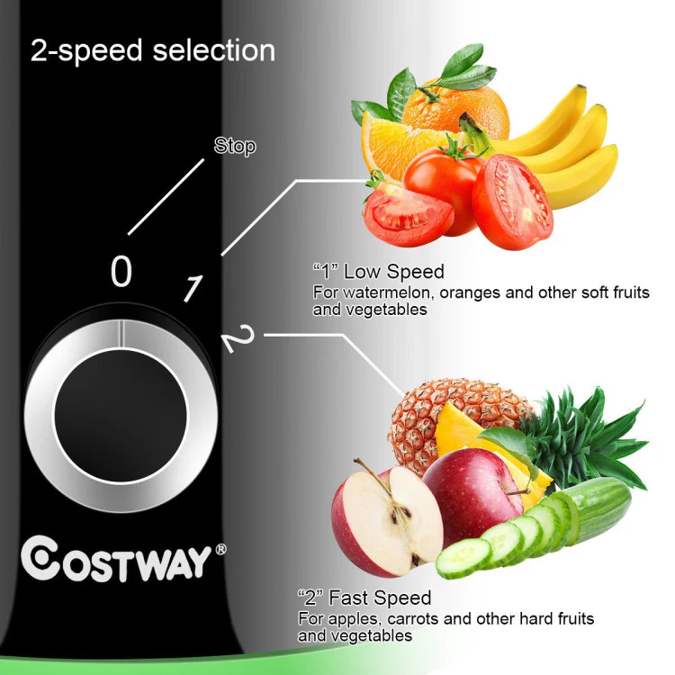 2 Speed Wide Mouth Fruit and Vegetable Centrifugal Electric Juicer - Image 4
