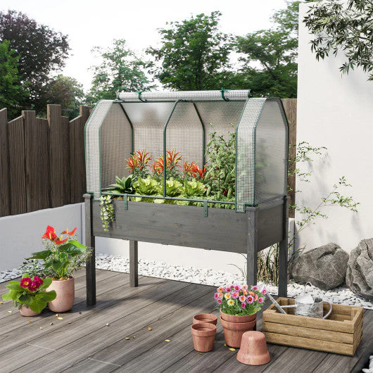 47.5 X 21.5 X 24 Inch Mini Greenhouse With Roll-Up Zipper Door - Image 2