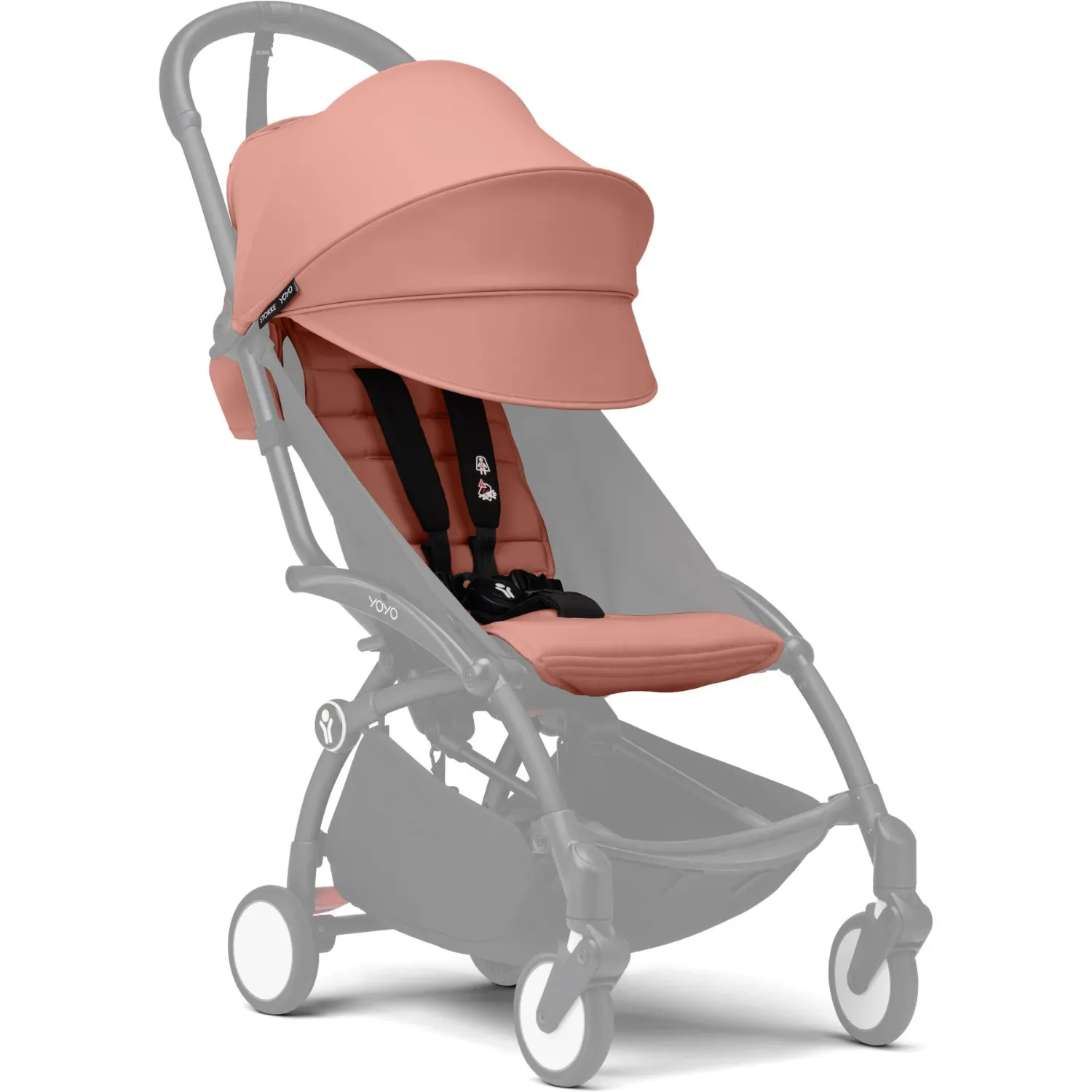 6+ Color Pack - Ginger