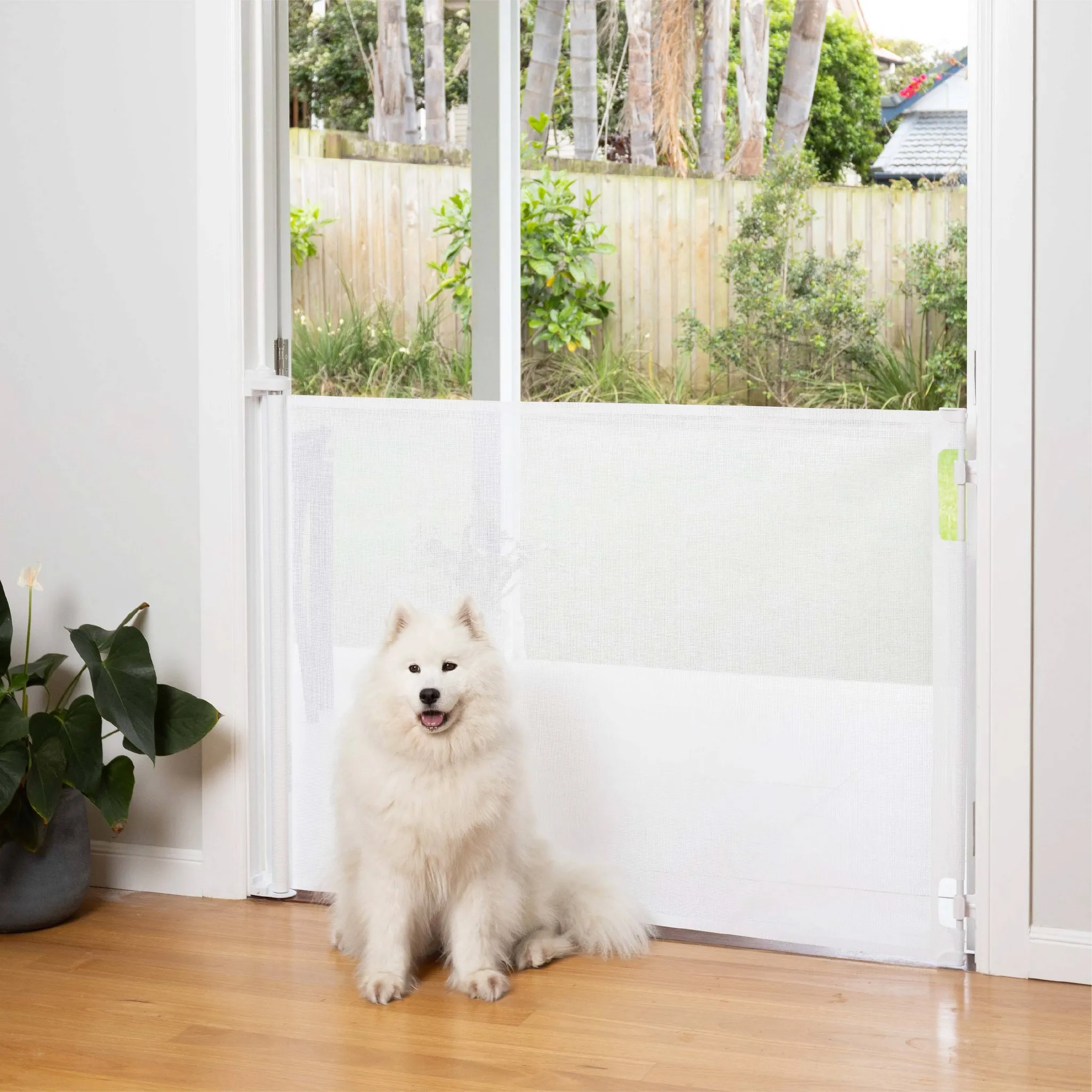 71" Wide x 41" Tall Retractable Baby Gate - 3122 - White - Image 3