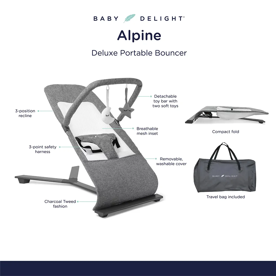 Alpine Deluxe Portable Bouncer - Charcoal - Image 2