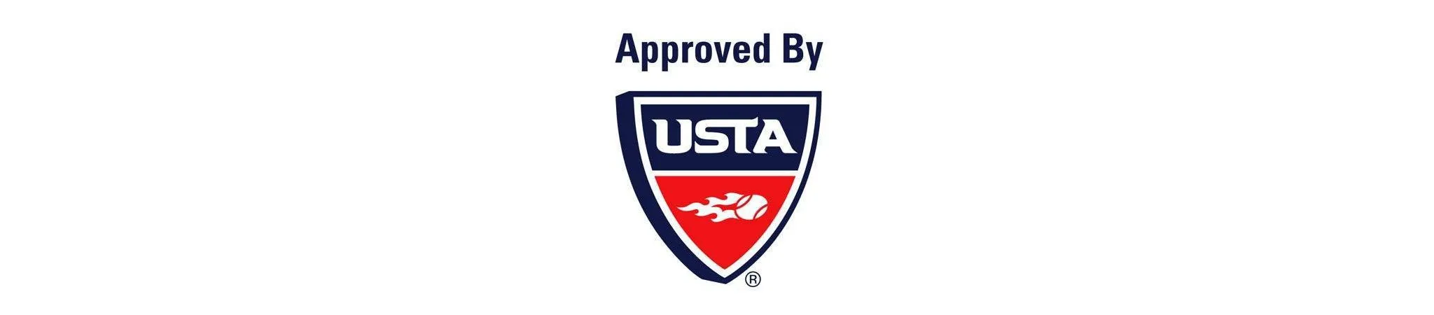 Championship Extra Duty Tennis Balls - 4 Pack - Image 3
