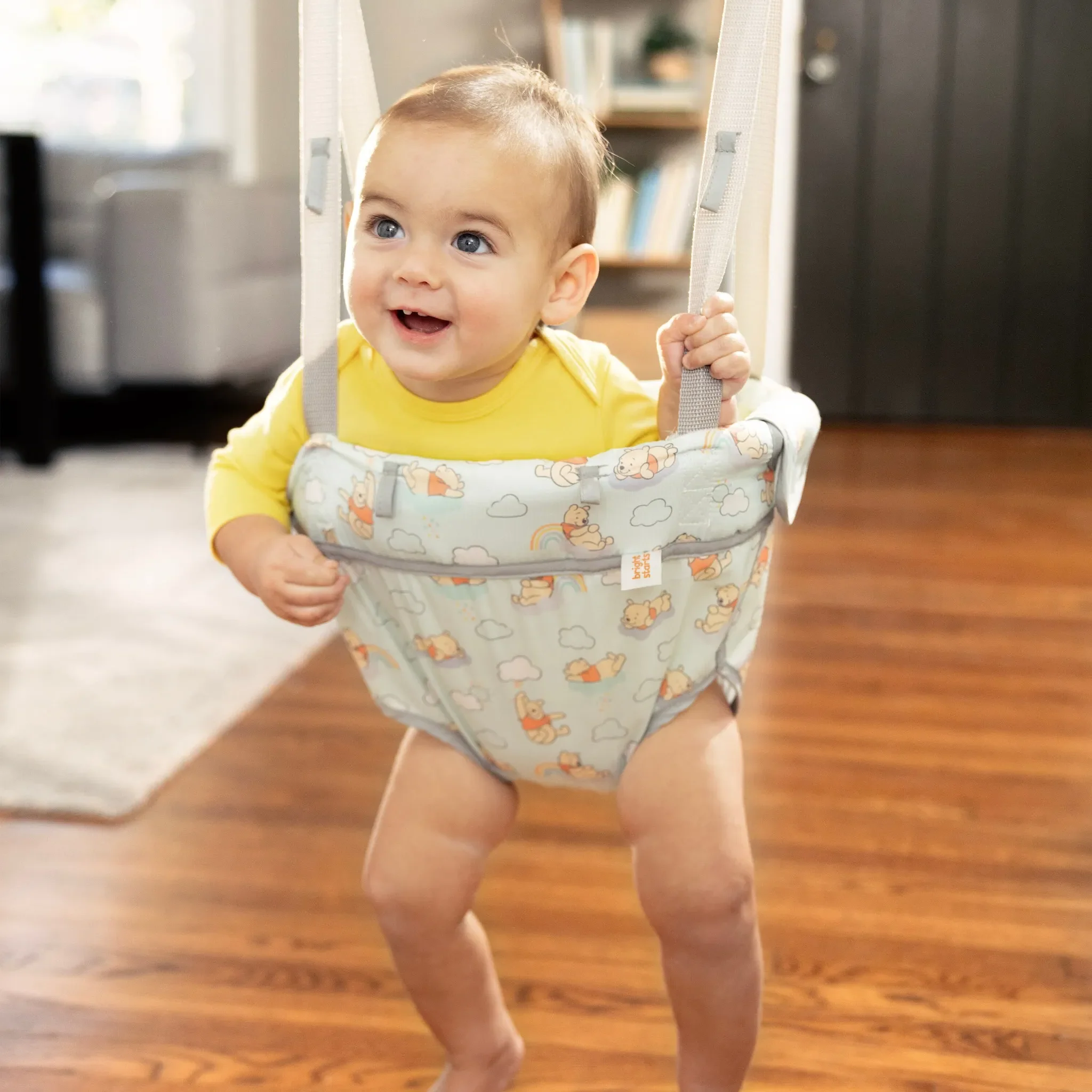 Disney Baby Winnie the Pooh Baby Door Jumper and Activity Center - Image 8