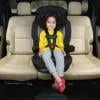 Finale 2-in-1 Booster Car Seat - Icicles - Image 4