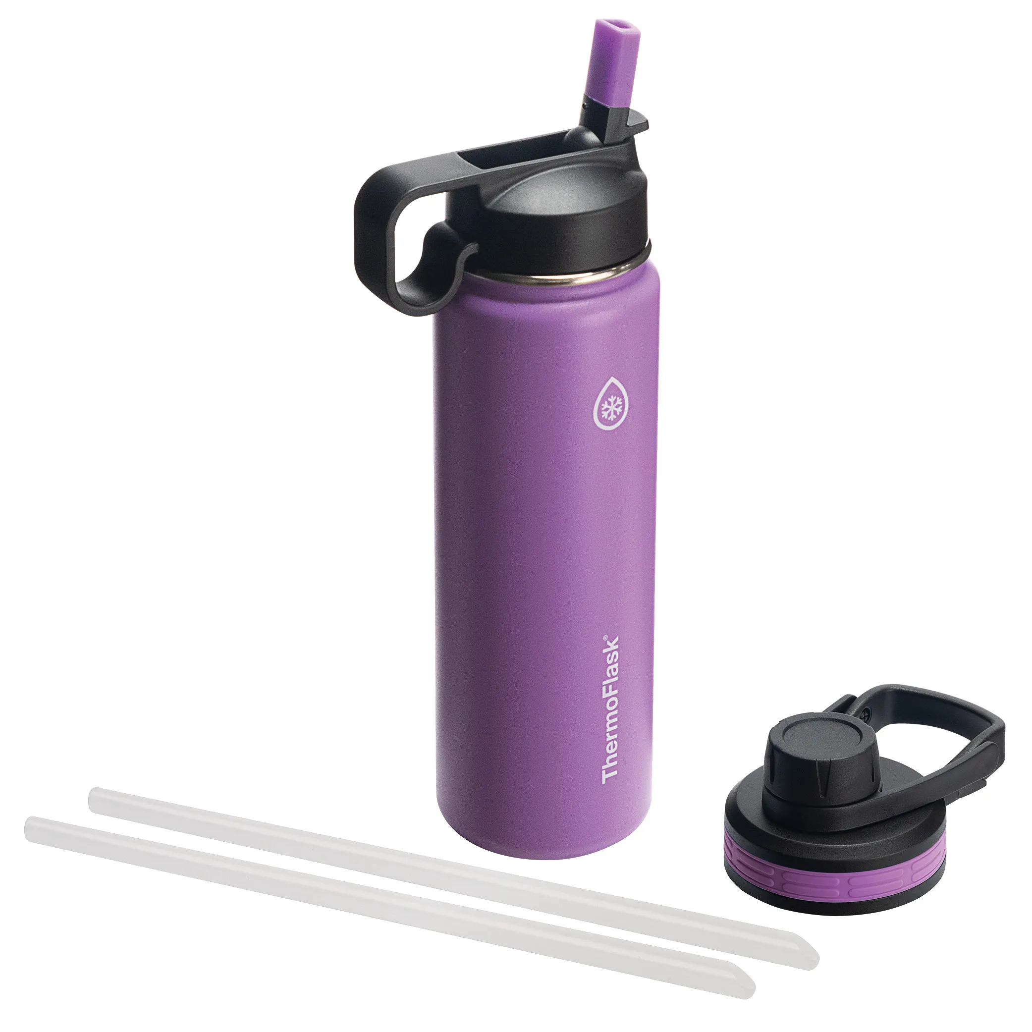 Insulated Stainless Steel Water Bottle - Silver