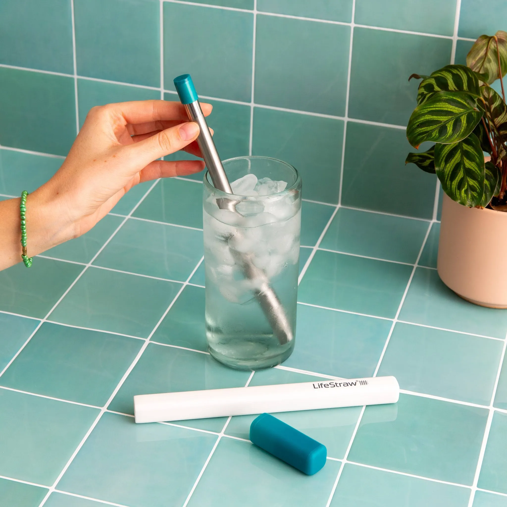 LifeStraw Sip Reusable Stainless Steel Filter Straw - Guava - Image 5