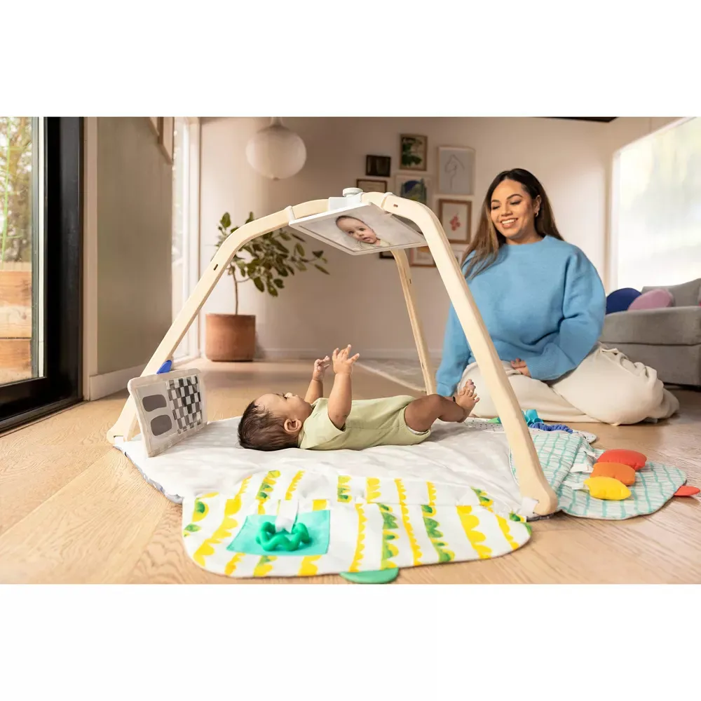 The Play Gym - Image 5