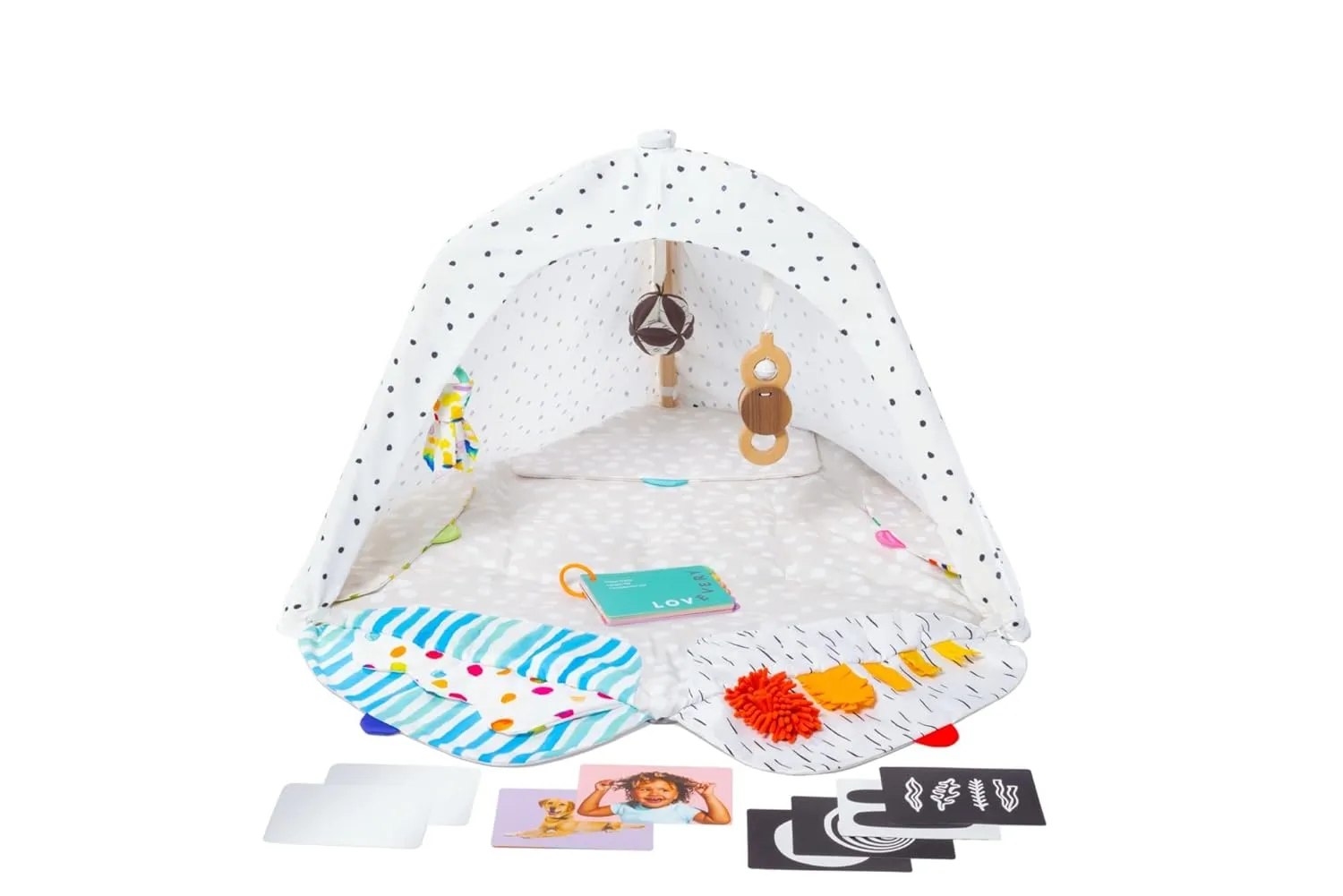 The Play Gym - Image 3