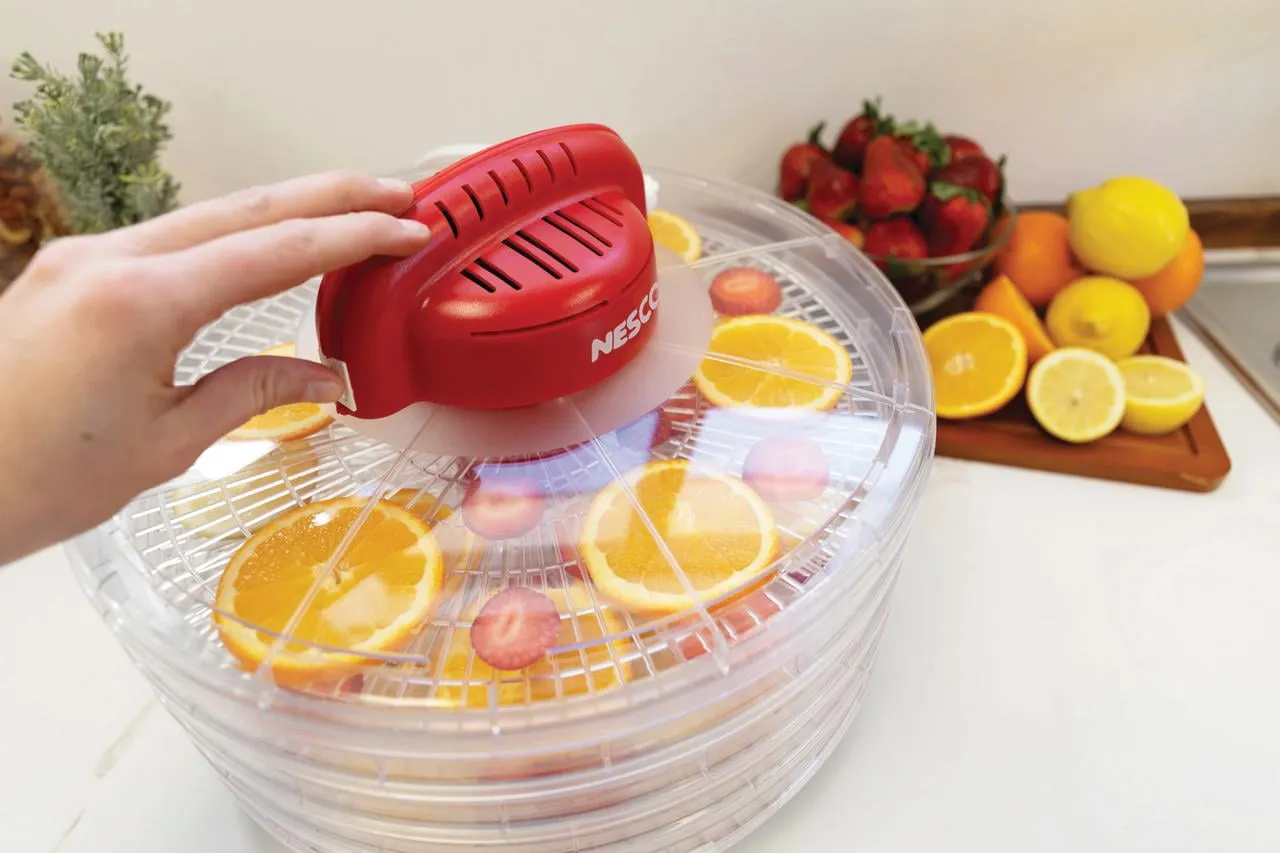 4-Tray Fixed Temperature Food Dehydrator - Image 2