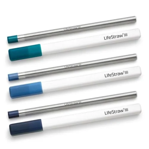 Reusable Stainless Steel Water Filter Straws - 3 Pack