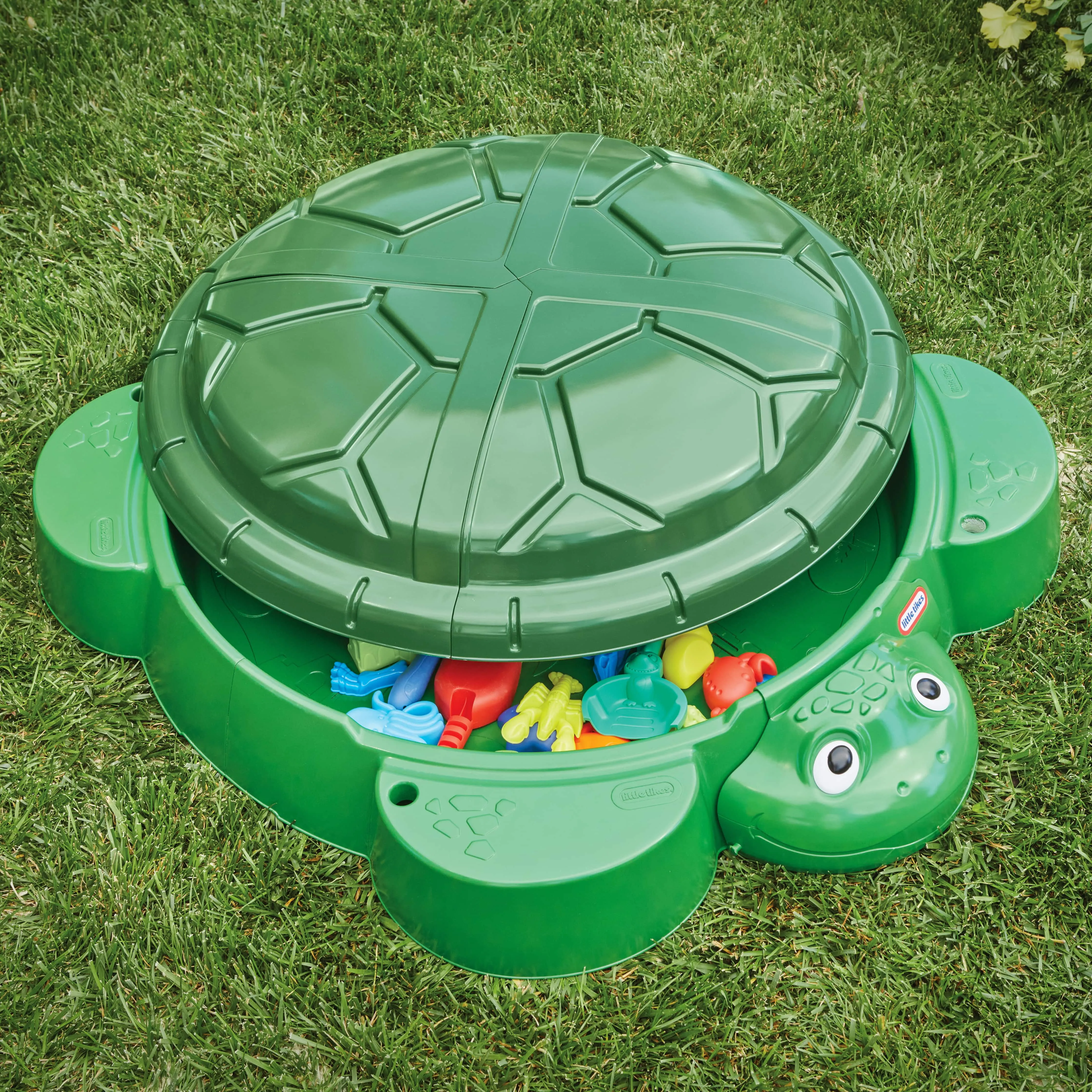 Turtle Sandbox - Multi-Color - Image 3
